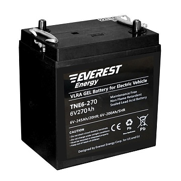 Гелевые аккумуляторы - Аккумулятор тяговый  EVEREST Energy TNE 6-270