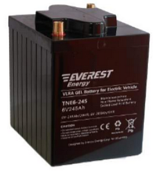 Гелевые аккумуляторы - Аккумулятор тяговый  EVEREST Energy TNE 6-245