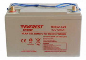 Тяговые аккумуляторы - Аккумулятор тяговый  EVEREST Energy TNE 12-125